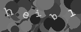 Gentilmente scrivi le lettere di questa immagine captcha nella casella di input