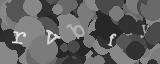 Gentilmente scrivi le lettere di questa immagine captcha nella casella di input