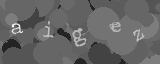 Gentilmente scrivi le lettere di questa immagine captcha nella casella di input