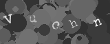 Gentilmente scrivi le lettere di questa immagine captcha nella casella di input